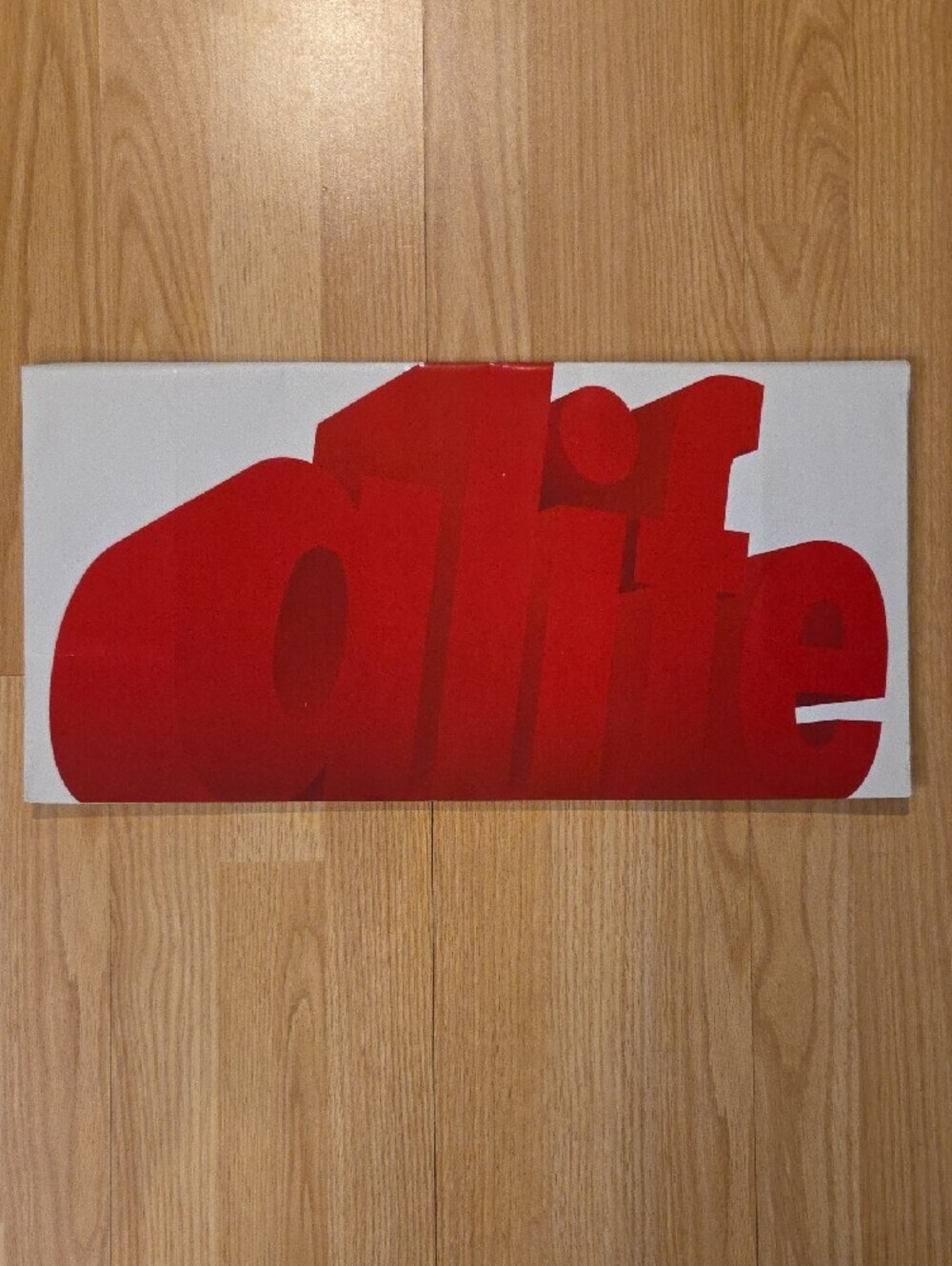 *Vintage 2000s* ALIFE Hypebeast Collectible Store Bag - Picture 4 of 7